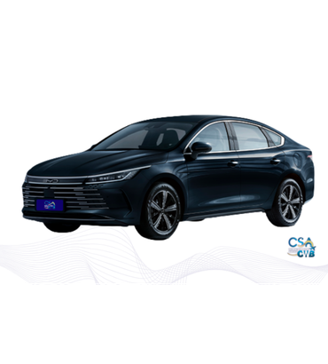 BYD King